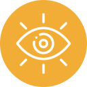 Vision